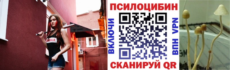 Псилоцибиновые грибы MAGIC MUSHROOMS Обоянь