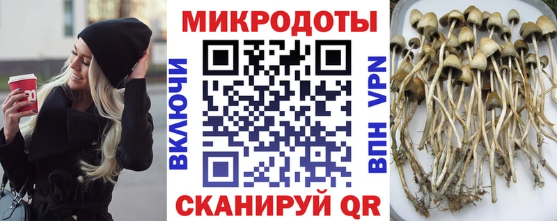 дарк нет официальный сайт Обоянь Псилоцибиновые грибы прущие грибы